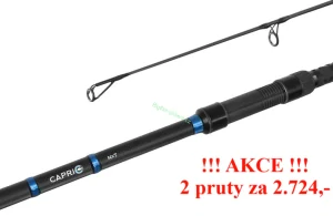 Delphin CAPRI NXT 360cm/3,5lbs/3 díly